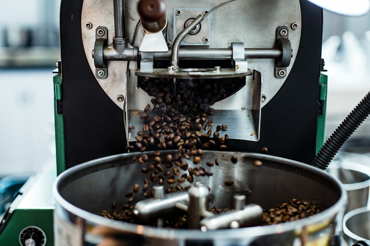 Entry-level home roaster
